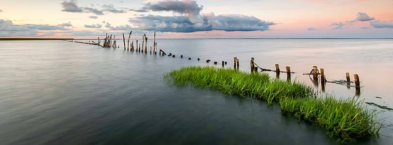 Wattenmeer, Dünen, Seehunde, Wanderungen, Austern Romo Dänemark